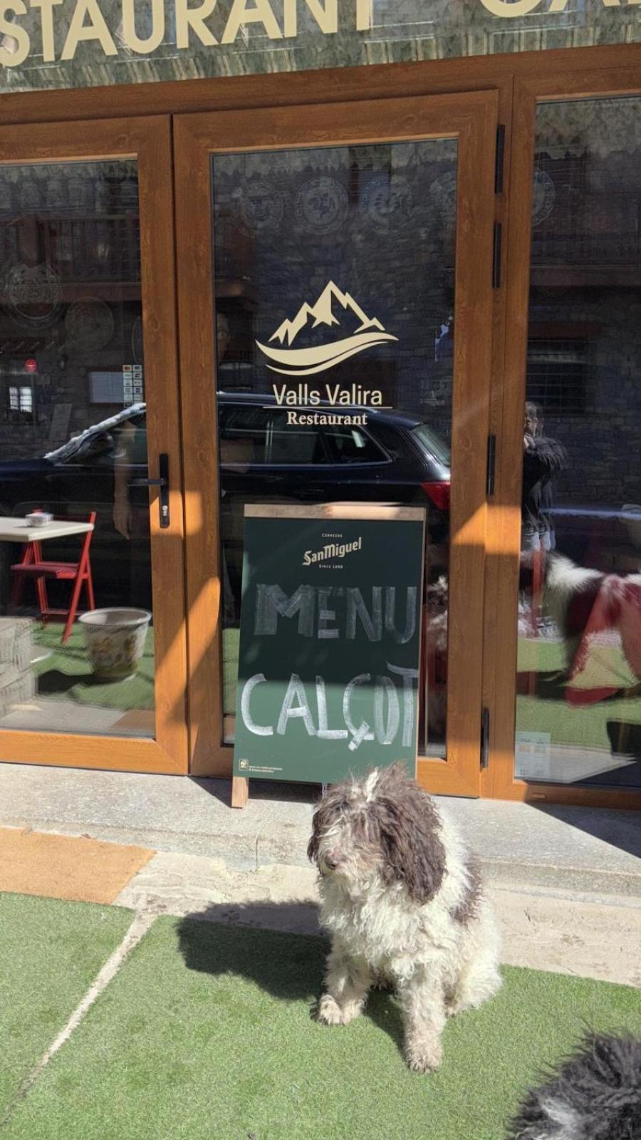 Hotel Valls Valira Os de Civís Екстериор снимка