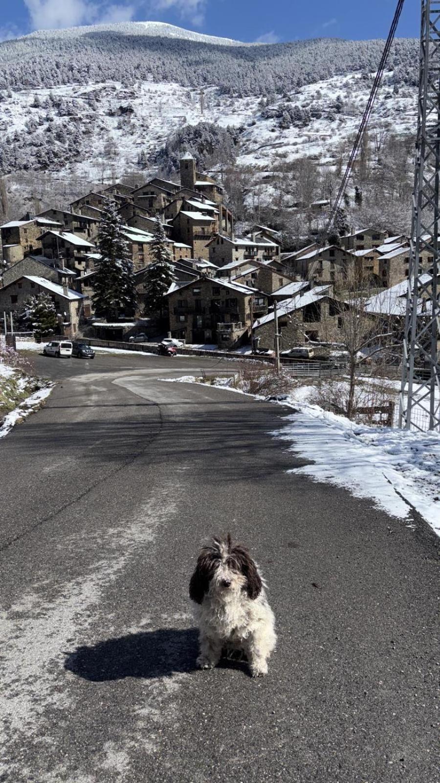 Hotel Valls Valira Os de Civís Екстериор снимка