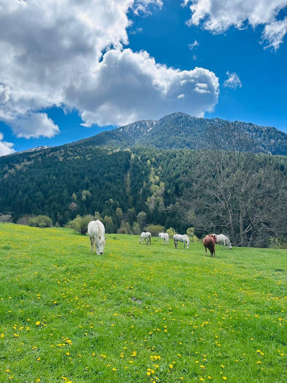 Hotel Valls Valira Os de Civís Екстериор снимка
