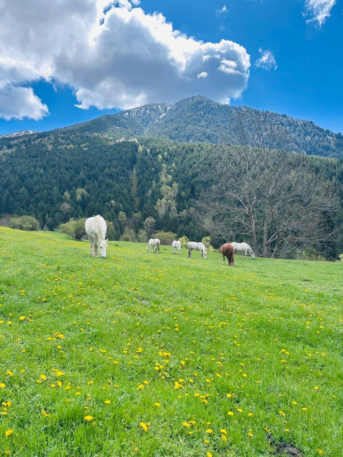 Hotel Valls Valira Os de Civís Екстериор снимка